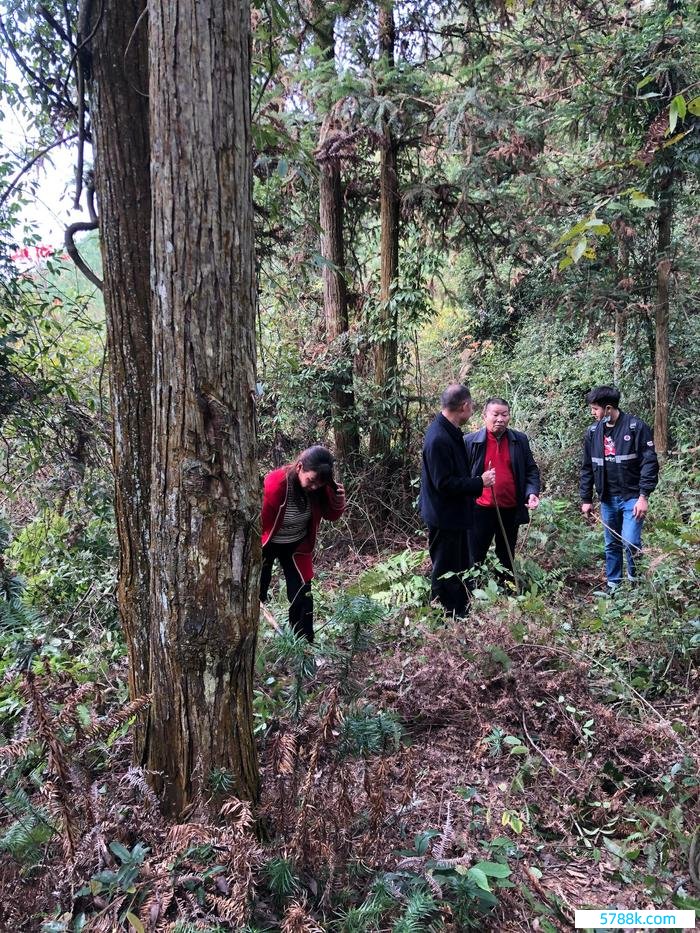 讼师探听被害东谈主遗体发现地。