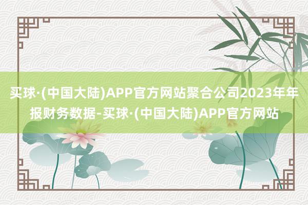 买球·(中国大陆)APP官方网站聚合公司2023年年报财务数据-买球·(中国大陆)APP官方网站