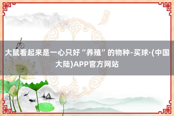 大鼠看起来是一心只好“养殖”的物种-买球·(中国大陆)APP官方网站