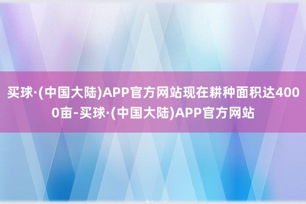 买球·(中国大陆)APP官方网站现在耕种面积达4000亩-买球·(中国大陆)APP官方网站