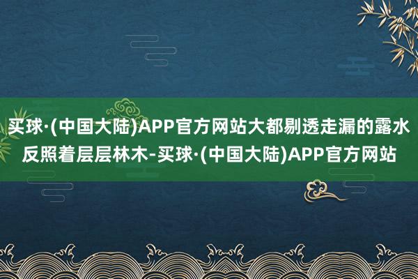 买球·(中国大陆)APP官方网站大都剔透走漏的露水反照着层层林木-买球·(中国大陆)APP官方网站