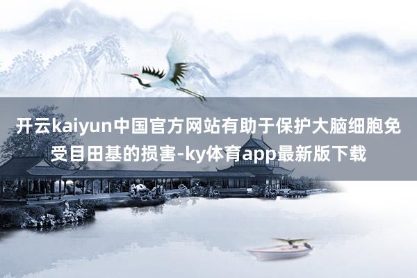 开云kaiyun中国官方网站有助于保护大脑细胞免受目田基的损害-ky体育app最新版下载