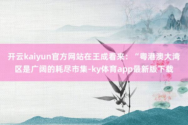 开云kaiyun官方网站在王成看来：“粤港澳大湾区是广阔的耗尽市集-ky体育app最新版下载