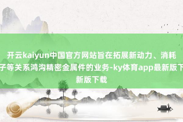 开云kaiyun中国官方网站旨在拓展新动力、消耗电子等关系鸿沟精密金属件的业务-ky体育app最新版下载